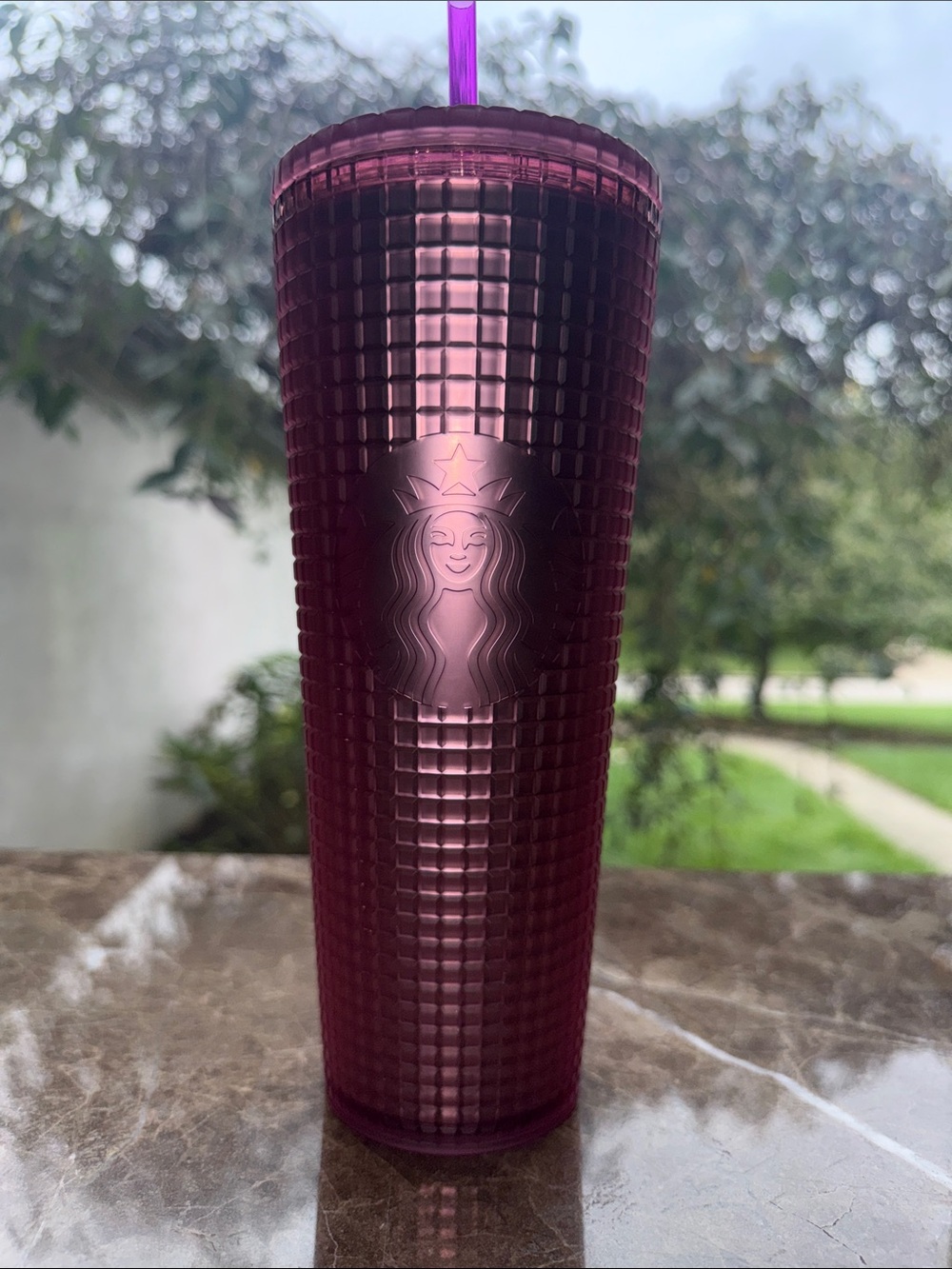 Starbucks Plum Studded Tumbler with Purple Straw